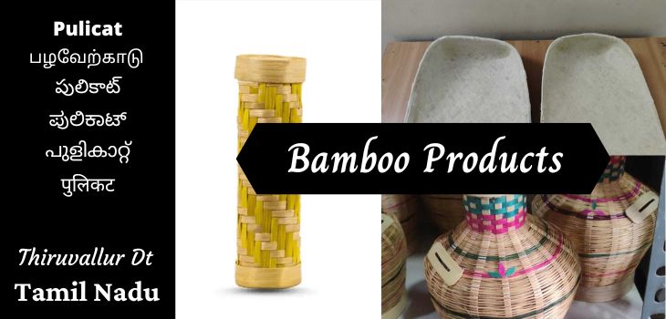 Bamboo